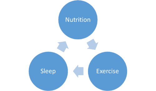 sleep nutrition exercise